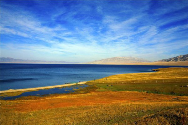 中国最长的高速公路