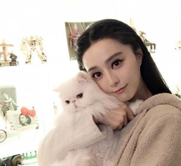 什么猫适合新手女生养