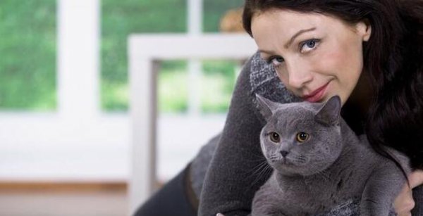 什么猫适合新手女生养