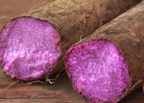 紫山药怎么种植