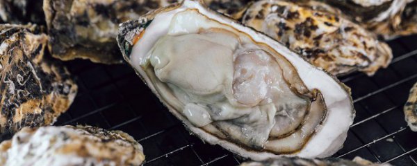 海蛎子和什么不能一起吃