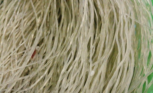 泡粉条用开水还是冷水