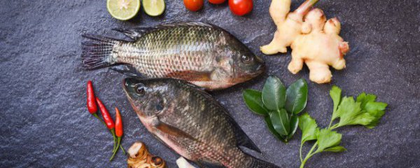 鱼和鸡蛋可以同时吃吗