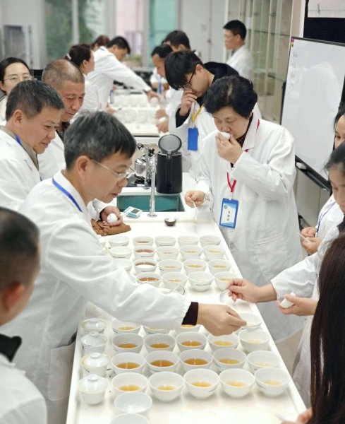 茶学专业出来都干嘛了