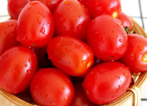 沙拉菜有几种蔬菜图片