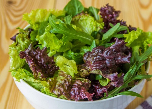 沙拉菜有几种蔬菜图片