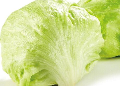 沙拉菜有几种蔬菜图片