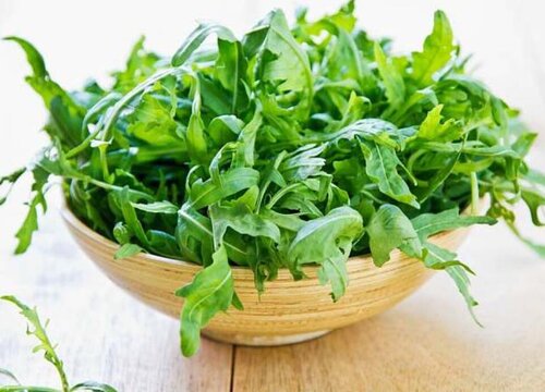 沙拉菜有几种蔬菜图片