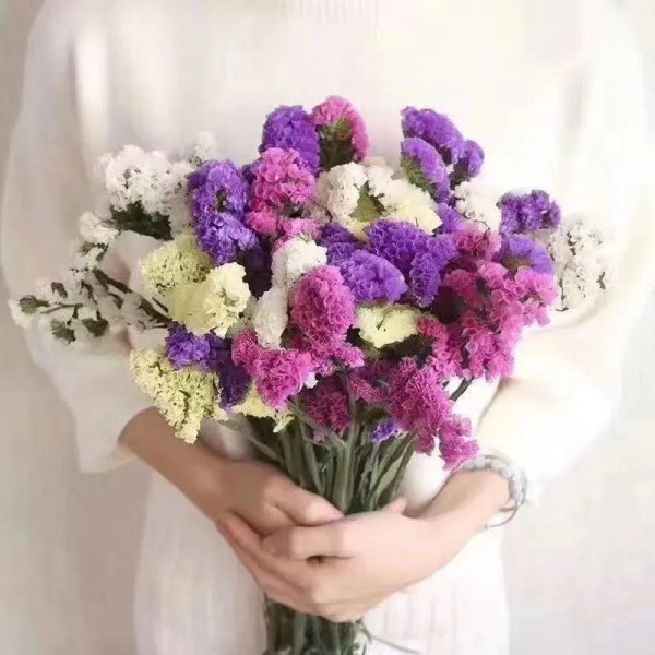 绿色洋桔梗花语是什么