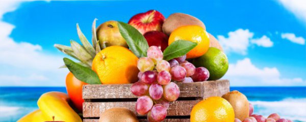 江苏盛产的水果有哪些