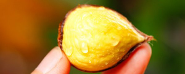 在家烤箱烤板栗的方法