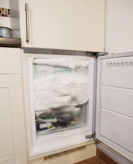 出远门时要在冰箱里放枚硬币吗