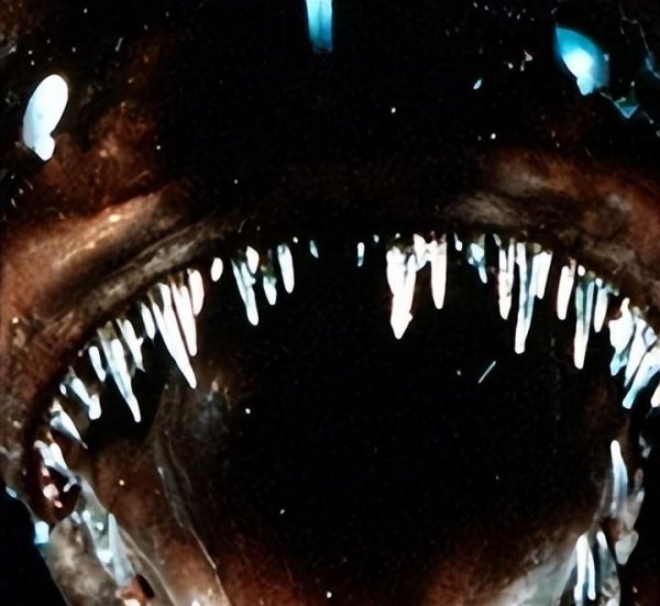 10部必看的bbc神级纪录片