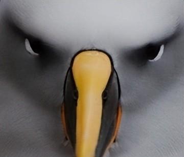 10部必看的bbc神级纪录片