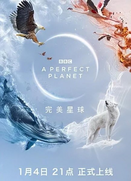 10部必看的bbc神级纪录片