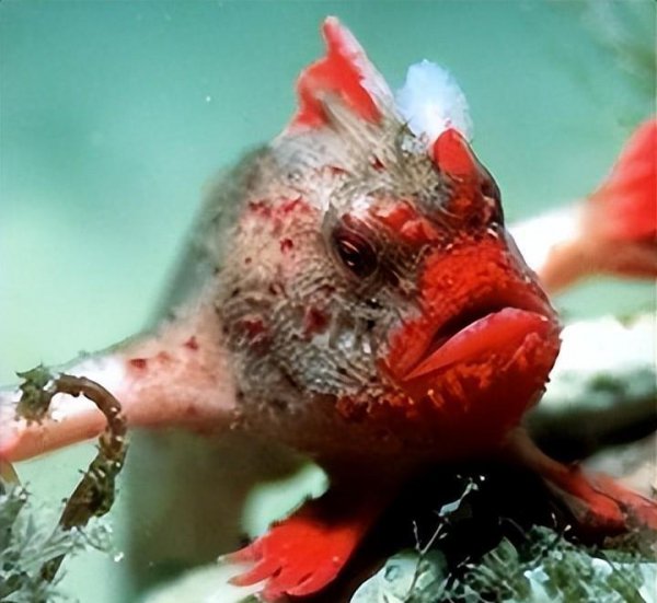 10部必看的bbc神级纪录片