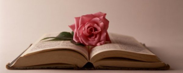 励志短句子十字霸气