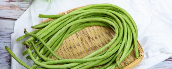 豇豆要煮多久宝宝可以吃