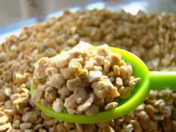 猕猴桃人工授粉方法图解