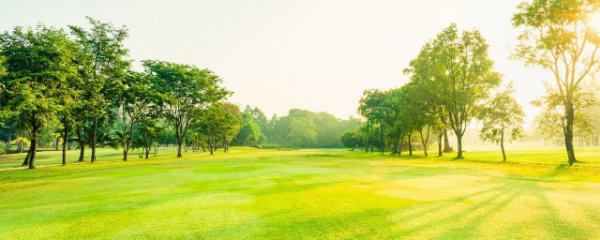 写出几种大自然的声音