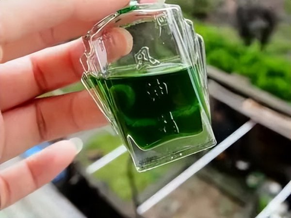 开车困了有什么好办法