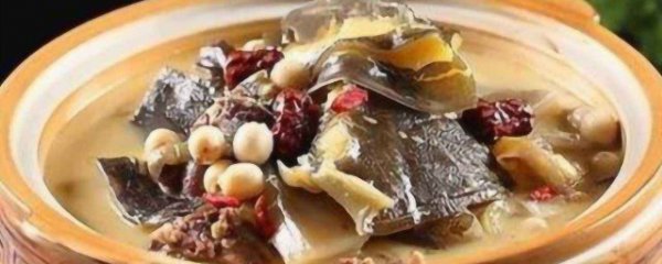 备孕可以吃甲鱼吗