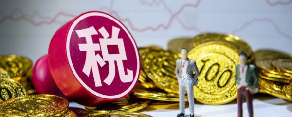 注册税务师协会主要做什么啊