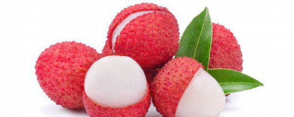 荔枝产地在哪里