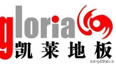 中国地板十大名牌排行榜