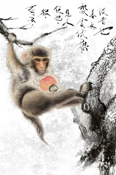 十二生肖什么生肖最自律