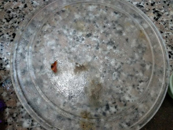 微波炉怎么清洗内部油垢