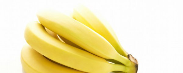 香蕉的产地分布有哪些