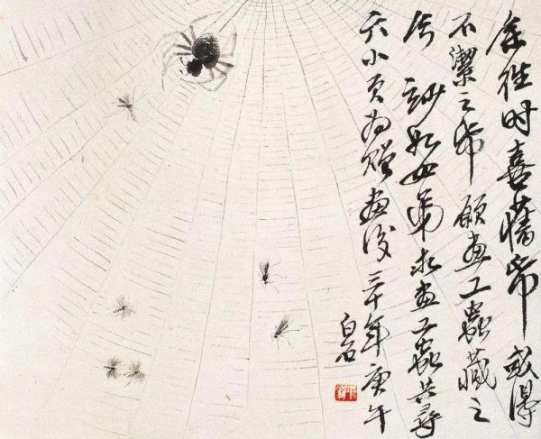 蜘蛛出现的时间寓意