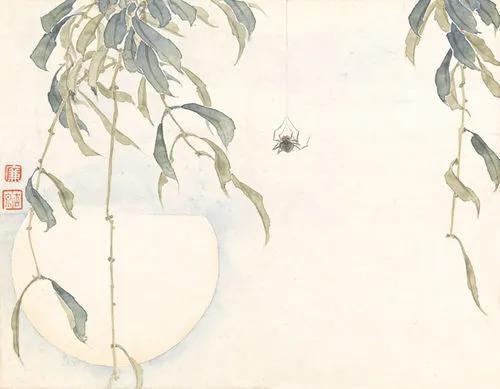 蜘蛛出现的时间寓意