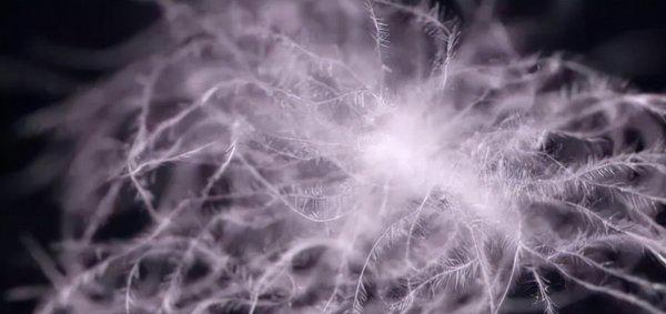 羽绒服经常洗是不是就不暖和了