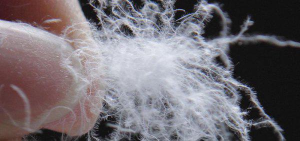 羽绒服经常洗是不是就不暖和了