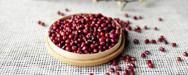 如何判断红豆的好坏