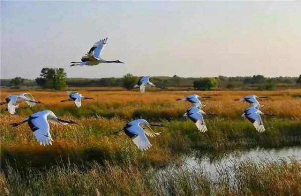 吉林旅游必去十大景点推荐