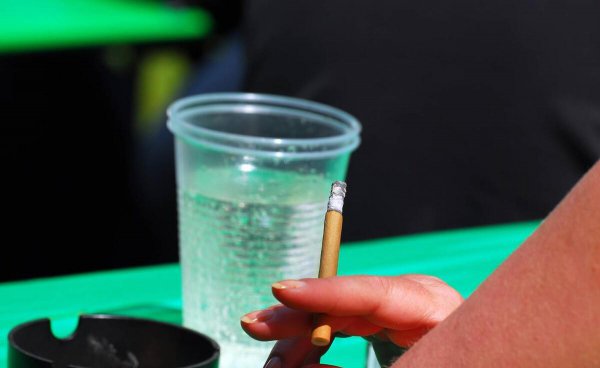 家庭消灭蚂蚁简单有效方法