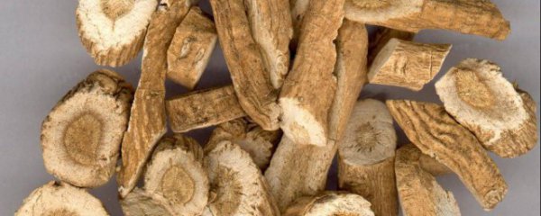 新鲜板蓝根要煮多久才能吃