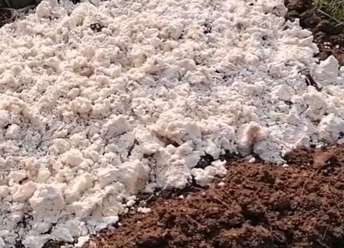 家庭养花如何制作氮磷钾肥