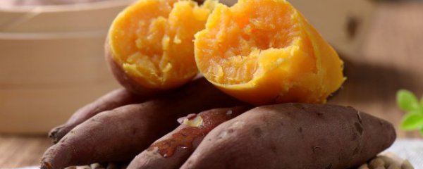 羊肉能和地瓜一起吃吗