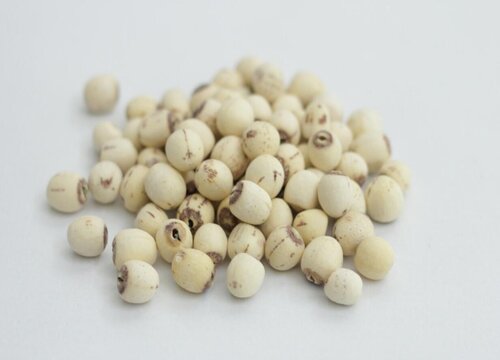 什么样的莲子质量是最好的