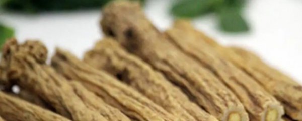 当归和党参能一起吃吗