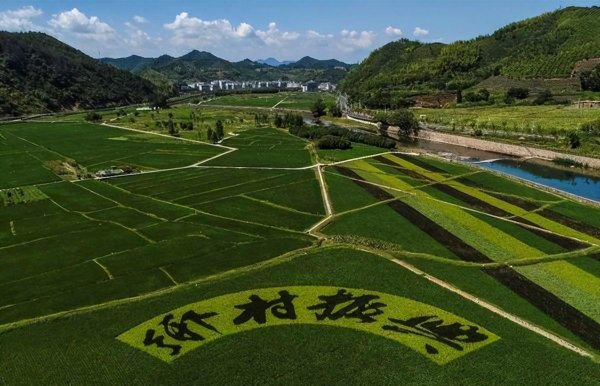 定居城市保留农村户口有意义吗