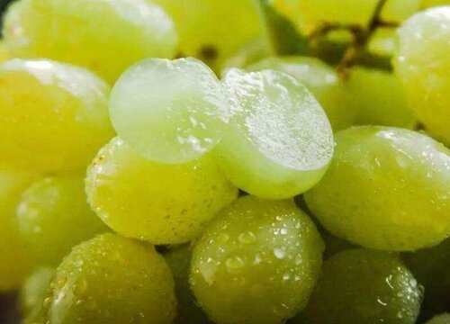 青葡萄变黄了还能吃吗