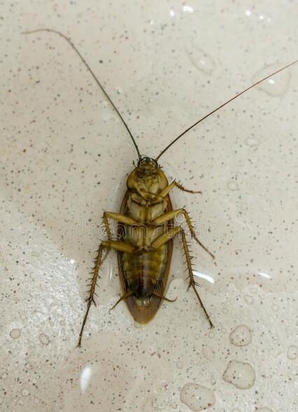 卫生间门一般开着还是关着