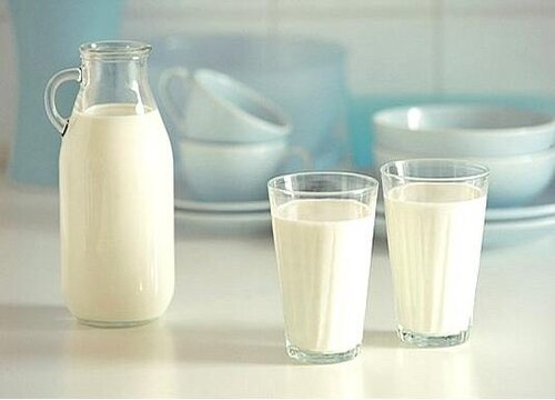 过期牛奶怎么养发财树根粗枝壮