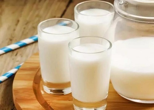 过期牛奶怎么养发财树根粗枝壮