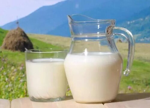 过期牛奶怎么养发财树根粗枝壮